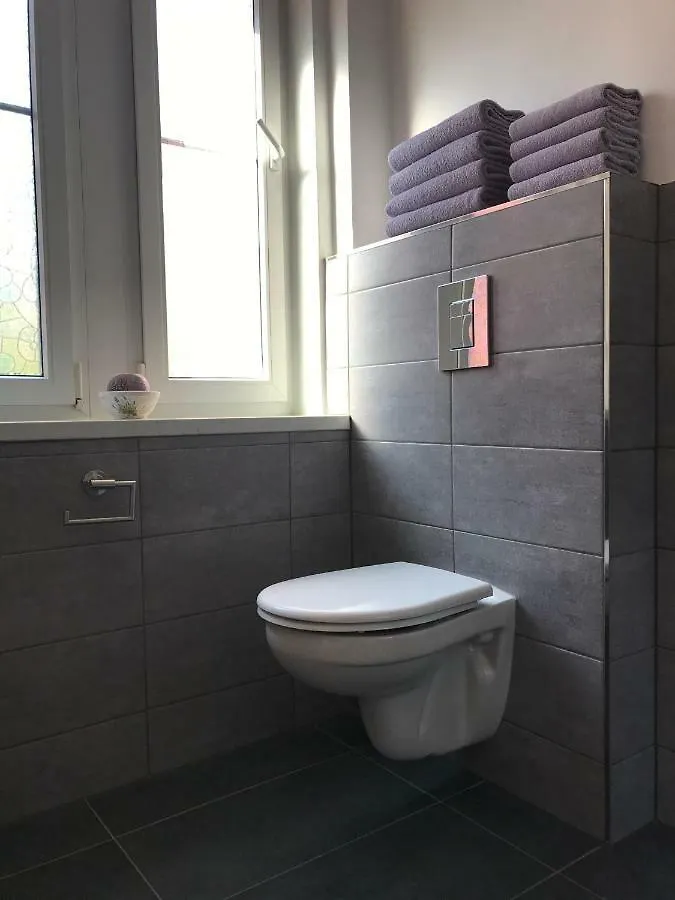 Apartmán Havlíčkova Karlovy Vary
