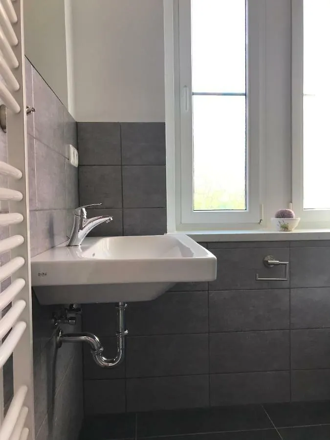 Apartmán Havlíčkova Karlovy Vary 0*,  Česká republika